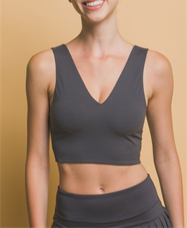 Luxe Flex Seamless V-Neckline Sports Bra (Assorted)