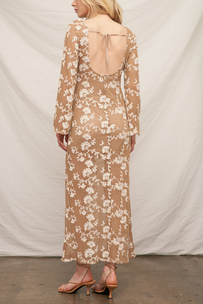 Soft Spoken Embroidered Lace Dress