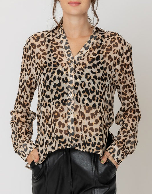 Dolly Leopard Print Chiffon Button Up Blouse Shop at Goldie s