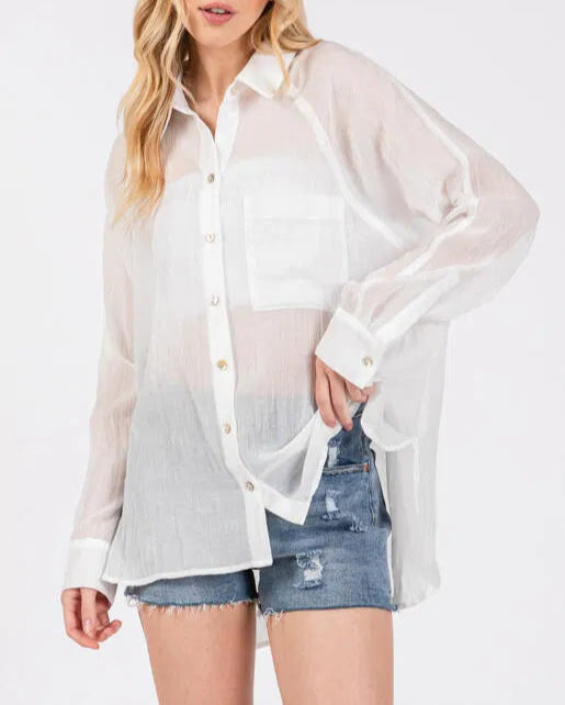Valencia Plain and Sheer Button Up Long Sleeve (Assorted)