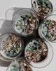 New Moon | Intention Candle - Desert and Cactus
